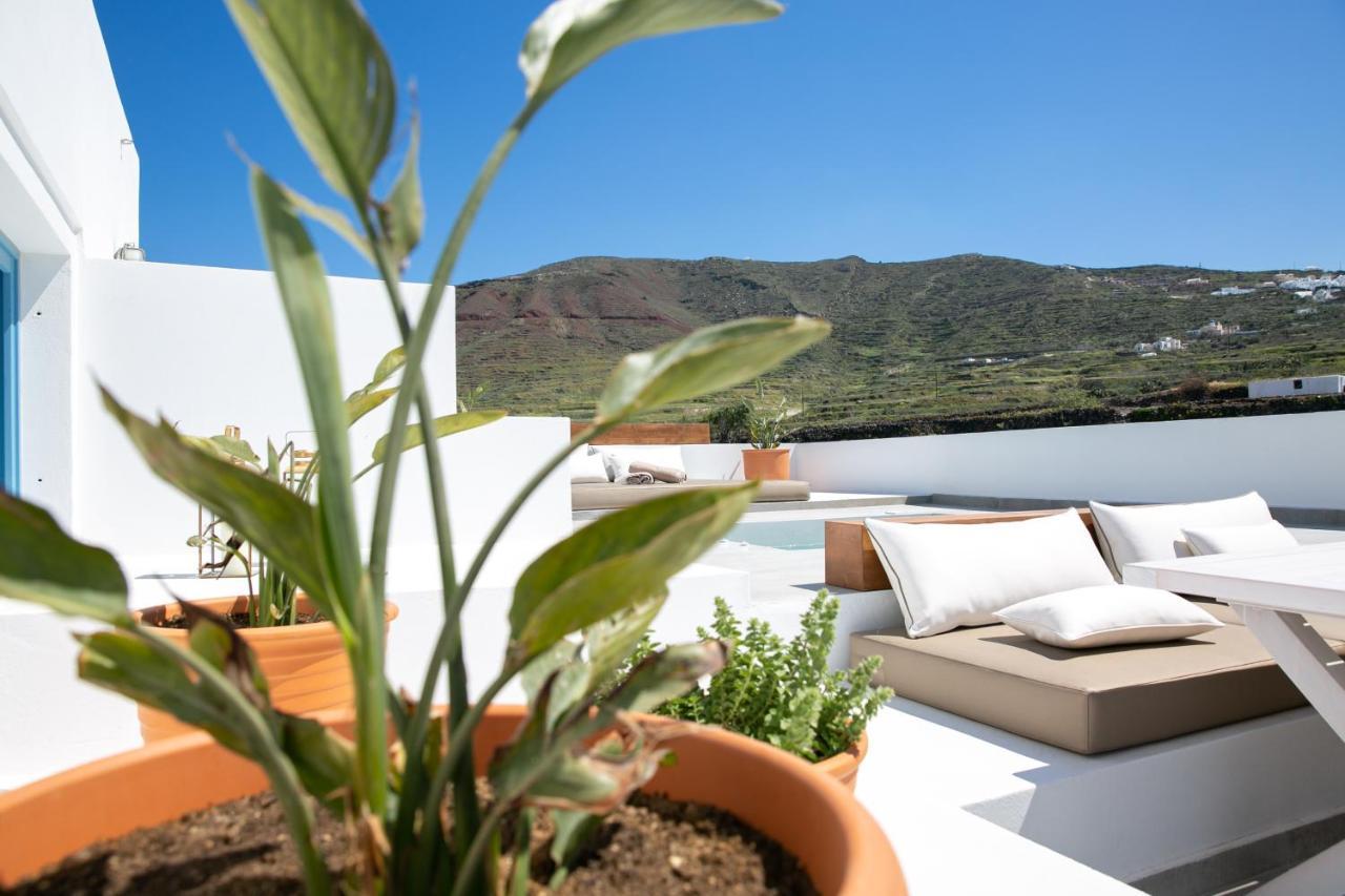 Vino Houses Santorini Φοινικιά Εξωτερικό φωτογραφία